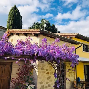 Il Cortile Delle Rose House Ferienhaus