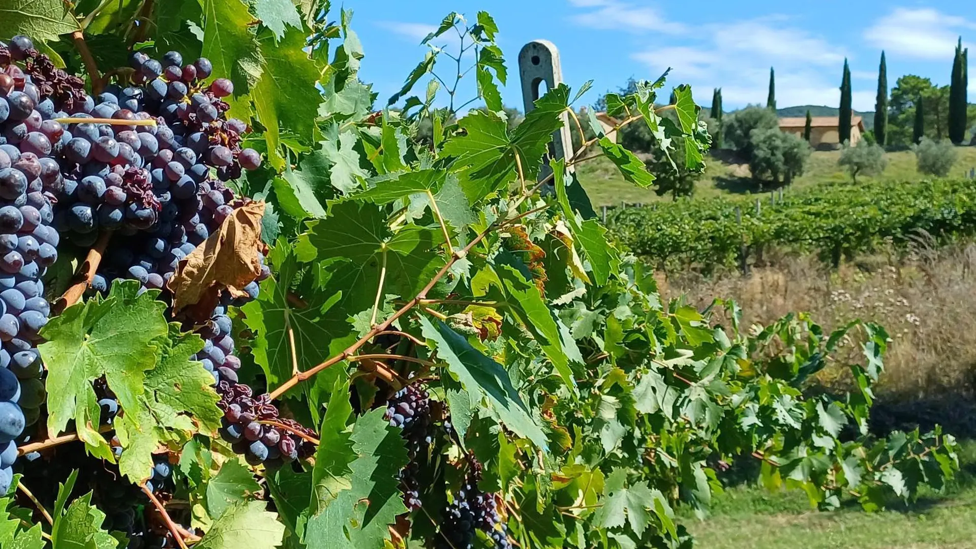 Agriturismo La Bulletta Perugia 0*,  Italy