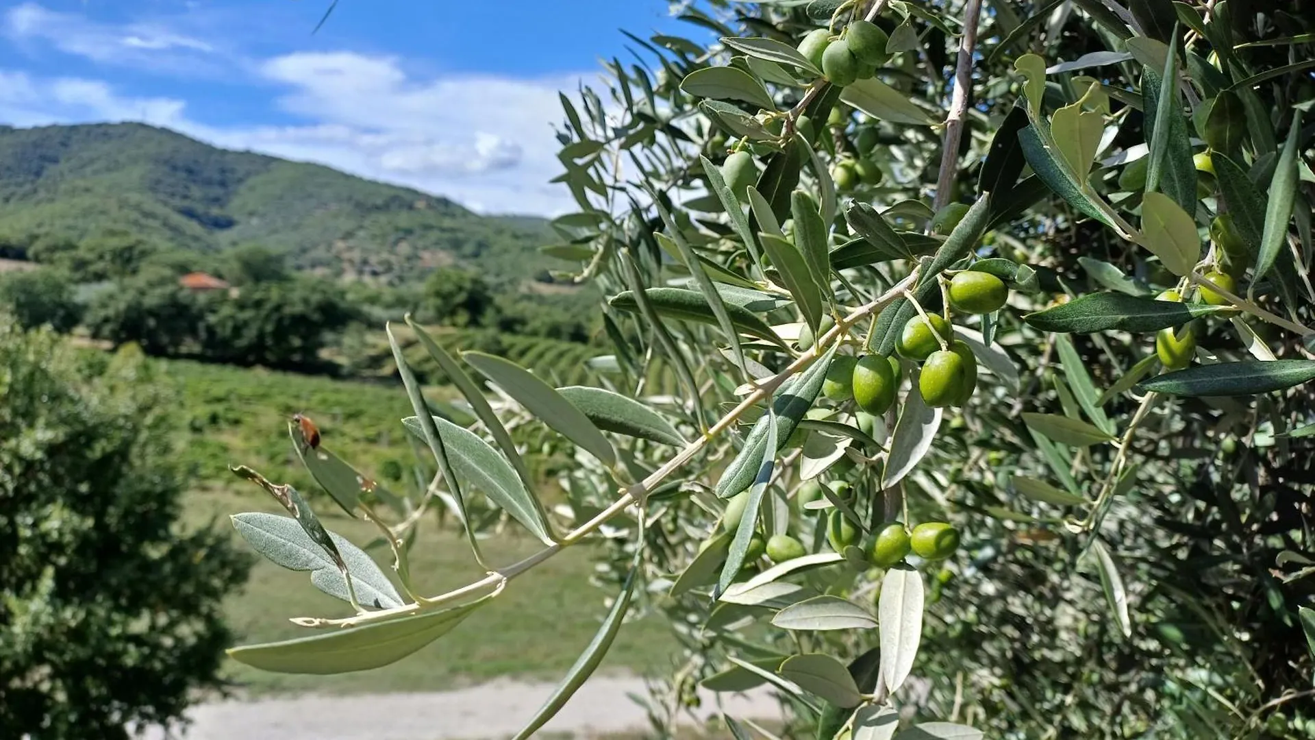 Agriturismo La Bulletta Perugia Italy