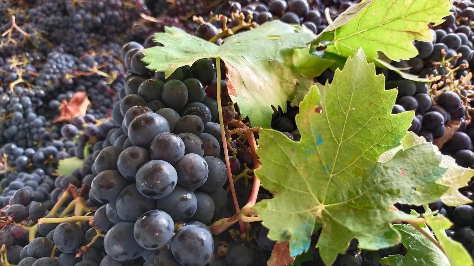 Agriturismo La Bulletta Perugia